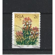 SouthAfrica.SG432 2c Mimetes Cucullatus.Fine Used.Sep25i