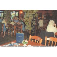 Butterfly Tea Rooms Tropical WIngs South Woodham Ferrers Essex Postcard