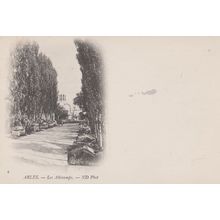 Arles Les Alicamps ND Photo Antique Drawing Painting French Postcard