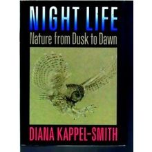Night Life