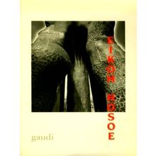 Gaudi