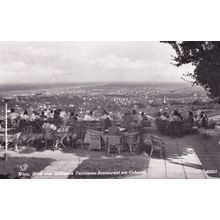 Wien Blick von Hubners Terrassen Restaurant Real Photo Postcard