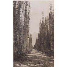 Snow Peak Avenue Canada Canadian Antique Postcard