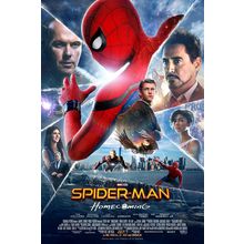 SpiderManHomecoming Poster Canvas Movie Film Print A0 A1 A2 A3 A4 A5 A6 Art Wall