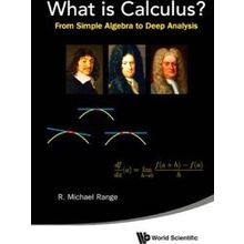 What Is Calculus