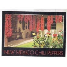 CHILI PEPPERS, New Mexico postcard c.1981 unused =
