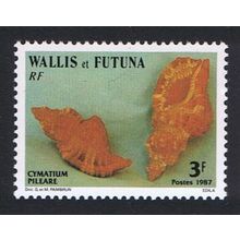 Wallis and Futuna Sea Shells 3f Common Hairy Triton 1987 MNH SG#510 Sc#354