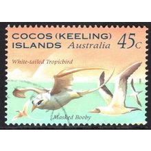 COCOS (KEELING) ISLANDS 1995: SEABIRDS OF NORTH KEELING - 45c USED (G1)