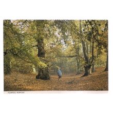 FELBRIGG, NORFOLK ... unused vintage postcard /