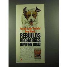 1976 Purina High Protein Dog Meal Ad - Rebuilds