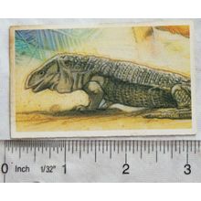 Brooke Bond Going Wild No. 17 Monitor Lizard, Wildlife Survival Challenge