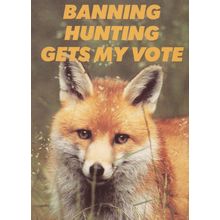 Ban Fox Hunting Anti Blood Sports Vote Council Protest Postcard