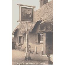 Sign Of Cat & Fiddle Inn New Forest Hampshire Postcard (QHAM179)