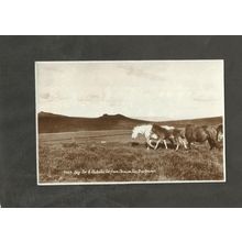 Postcard Devon Dartmoor Hay Tor and Saddle Tor from Dream Tor