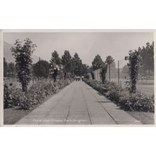 Floral Walk Preston Park Brighton Real Photo Postcard