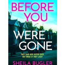A Dee Doran Crime Thriller 3 Before You Were Gone