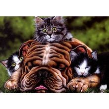 6 CARDS FOR $6.00 - NEW - Wrinkles - Tree Free Greeting Card - 14179