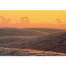 Sutton Hoo Sunset Suffolk Postcard