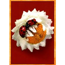 Lady Bug Love - Tree Free Greeting Card - 10972
