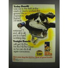 1983 Purina Hi-Pro Dog Food Ad - Today Bandit