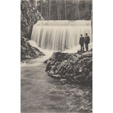 The Falls Ladysmith BC Canada Antique Postcard
