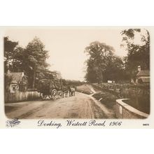Westcott Road Dorking Surrey in 1906 Postcard