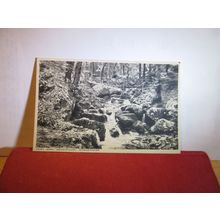 FAIRY GLEN, DWYGYFYLCHI, PENMAENMAWR, WALES unused vintage postcard R C Evans =