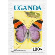 UGANDA 1990 BUTTERFLIES BANDED FORESTER BLUE COUNTRY NAME 100/- NO IMPRINT USED