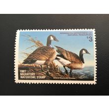 ICOLLECTZONE US Minnesota MN5 1981 Duck Stamp VF NH