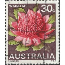 AUSTRALIA, FLOWER, Waratah, violet-brown 1968, 30c, #5