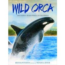 Wild Orca