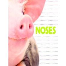 Whose Is It? Noses