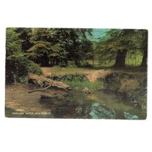 HIGHLAND WATER, NEW FOREST used vintage postcard by J Salmon 1972 postmark =