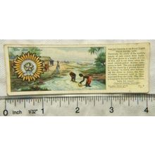 Typhoo Important Industries British Empire No. 8 Indian Empire : Jute