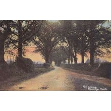 Wormley The Avenue Hertfordshire Antique Postcard