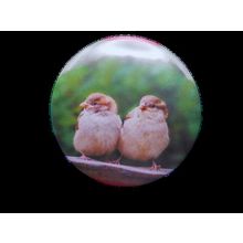 Sparrows[ 2.25 inch ]