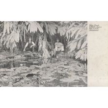 Explorers Resting at Dew Pond Saint Helena Ascension Island Old Postcard