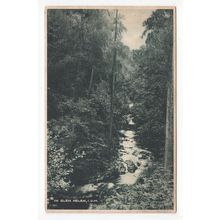 In Glen Helen Postcard Isle of Man IOM 370