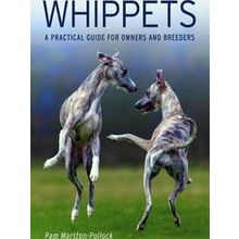Whippets