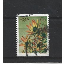 SouthAfrica.SG434 10c Leucadendron Sessile.Fine Used.Sep25a