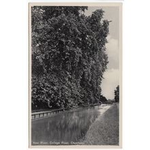 New River College Road Cheshunt Postcard Hertfordshire