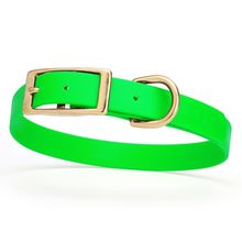 Dog Pet Collar with Brass Hardware Size M W 3/4” L 15” - 18” Tropical Green