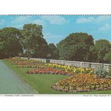 Mowbray Park Sunderland Daffodils Durham Postcard
