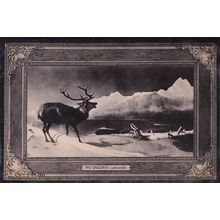 Landseer The Challenge Antique Painting Postcard