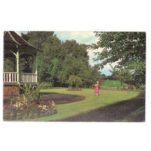 THE WALKS, KINGS LYNN, NORFOLK unused vintage postcard dated 1976 /