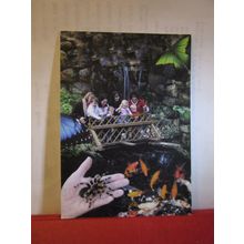 KOI CARP, STUDLEY GRANGE BUTTERFLY WORLD, WROUGHTON, WILTSHIRE unused postcard =