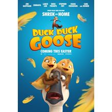 Duck Duck Goose (2018)_1 Movie Film Poster Canvas iconic design