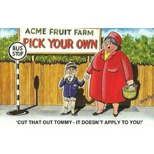 BAMFORTH COMIC "Pick Your Own" Postcard (2049)