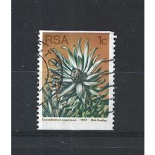 SouthAfrica.SG431 1c Leucadendron Argenteum.Fine Used.Sep25p