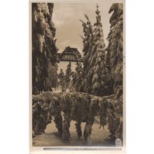 Ak Berghof Raupennest Altenberg Erzgebirge Austria RPC Postcard